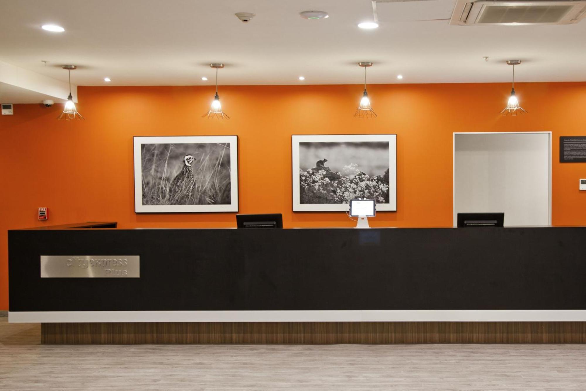 City Express Plus By Marriott Monterrey Nuevo Sur Dış mekan fotoğraf